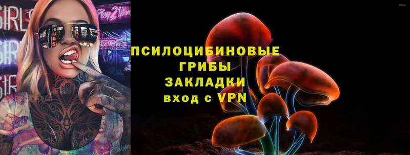 kraken tor  Дальнегорск  Галлюциногенные грибы MAGIC MUSHROOMS 