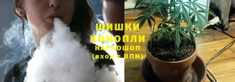 Каннабис LSD WEED  где купить наркотик  гидра вход  Дальнегорск 